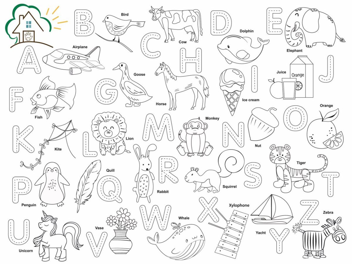 5402186724081261628 5402186724081261628