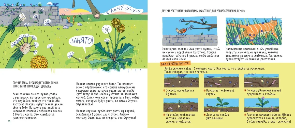 9785604942765_sornye_travy_03