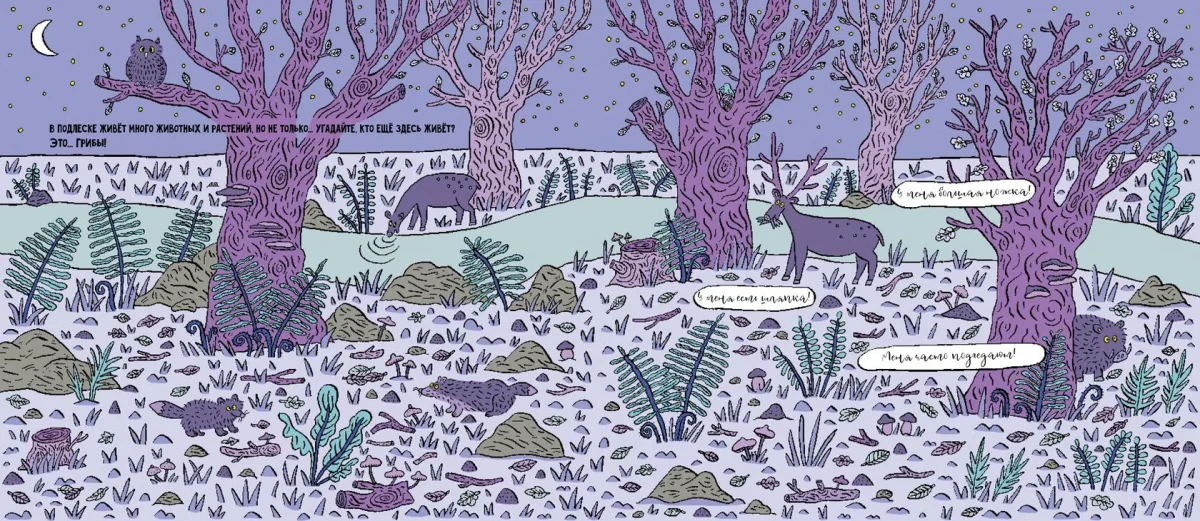 9785604942772_griby_01