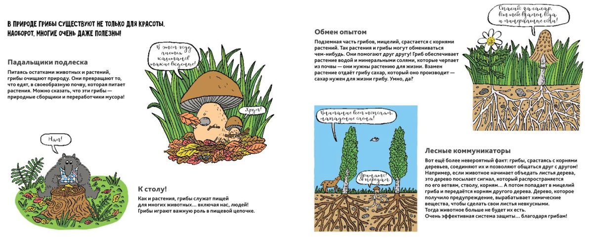 9785604942772_griby_03