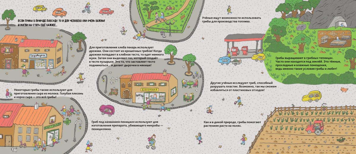 9785604942772_griby_04