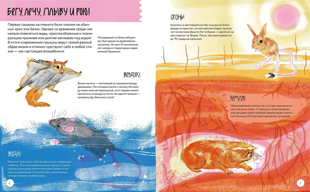 9785006301610_vot_tak_kapibara_01