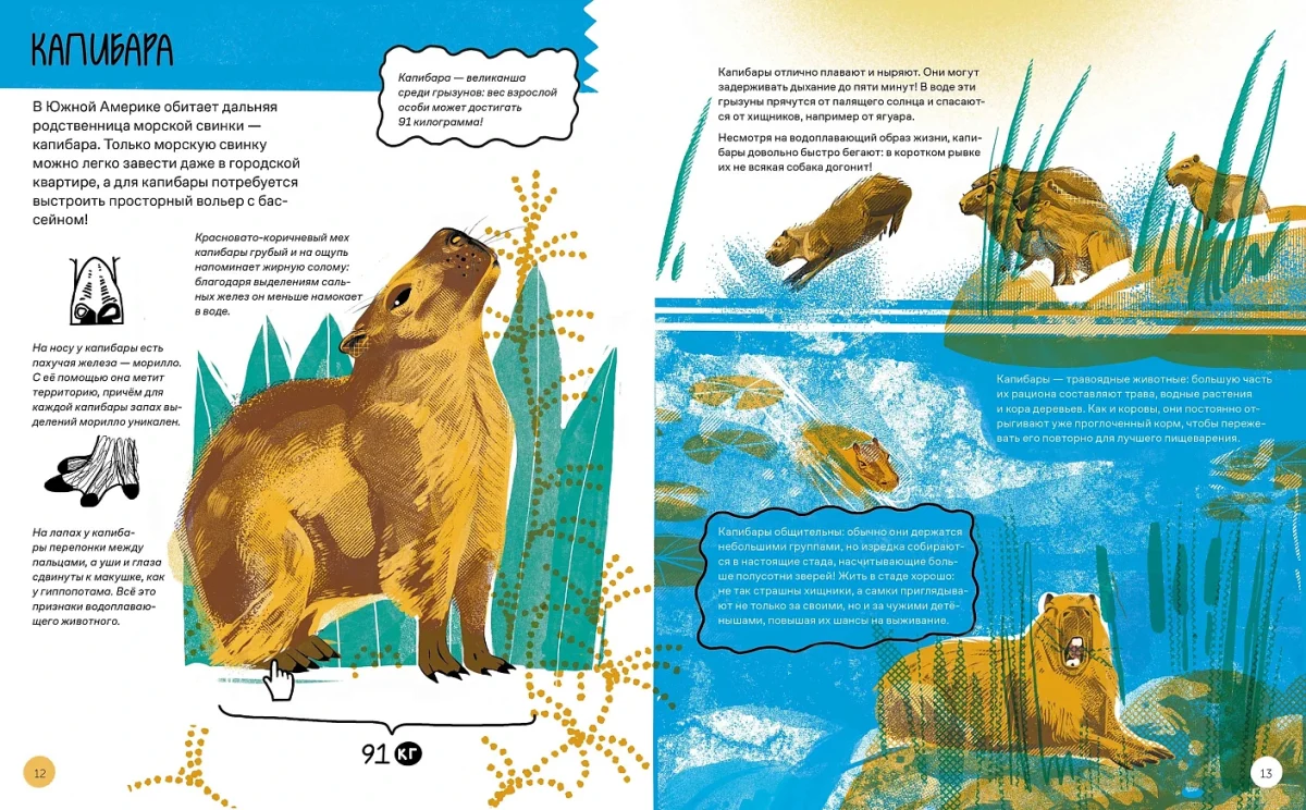 9785006301610_vot_tak_kapibara_02