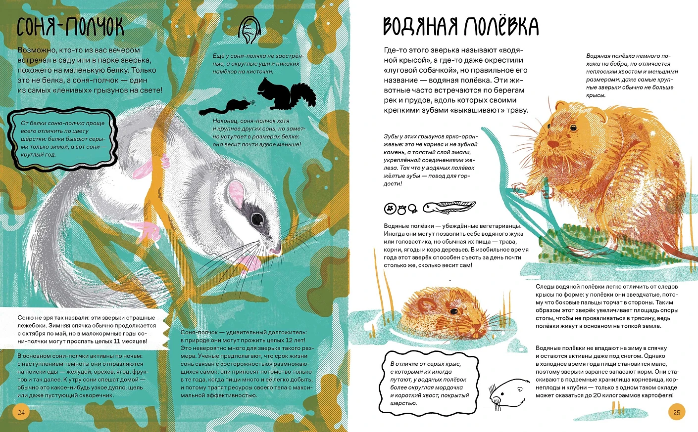 9785006301610_vot_tak_kapibara_03